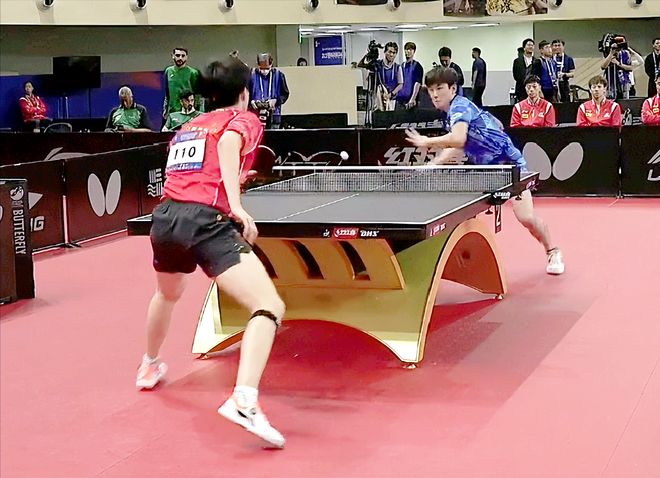 性和活力 性和活力